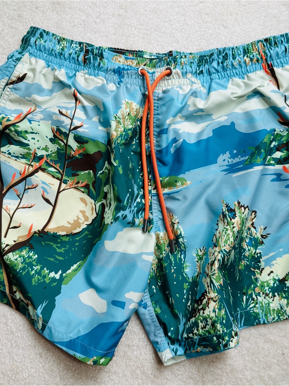 Rodd & Gunn Triton Peak Swim Trunks